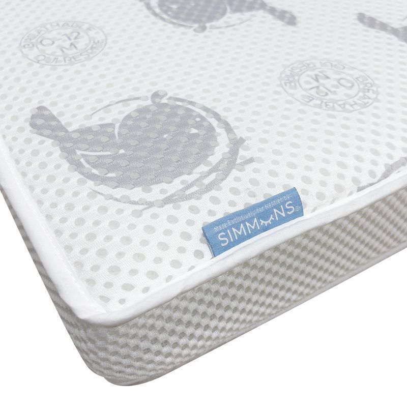 Organic Mini Mattress with Protector
