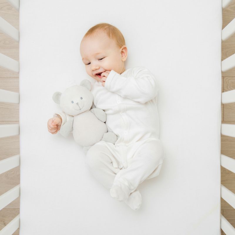 Bliss Crib Mattress