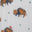 Bison