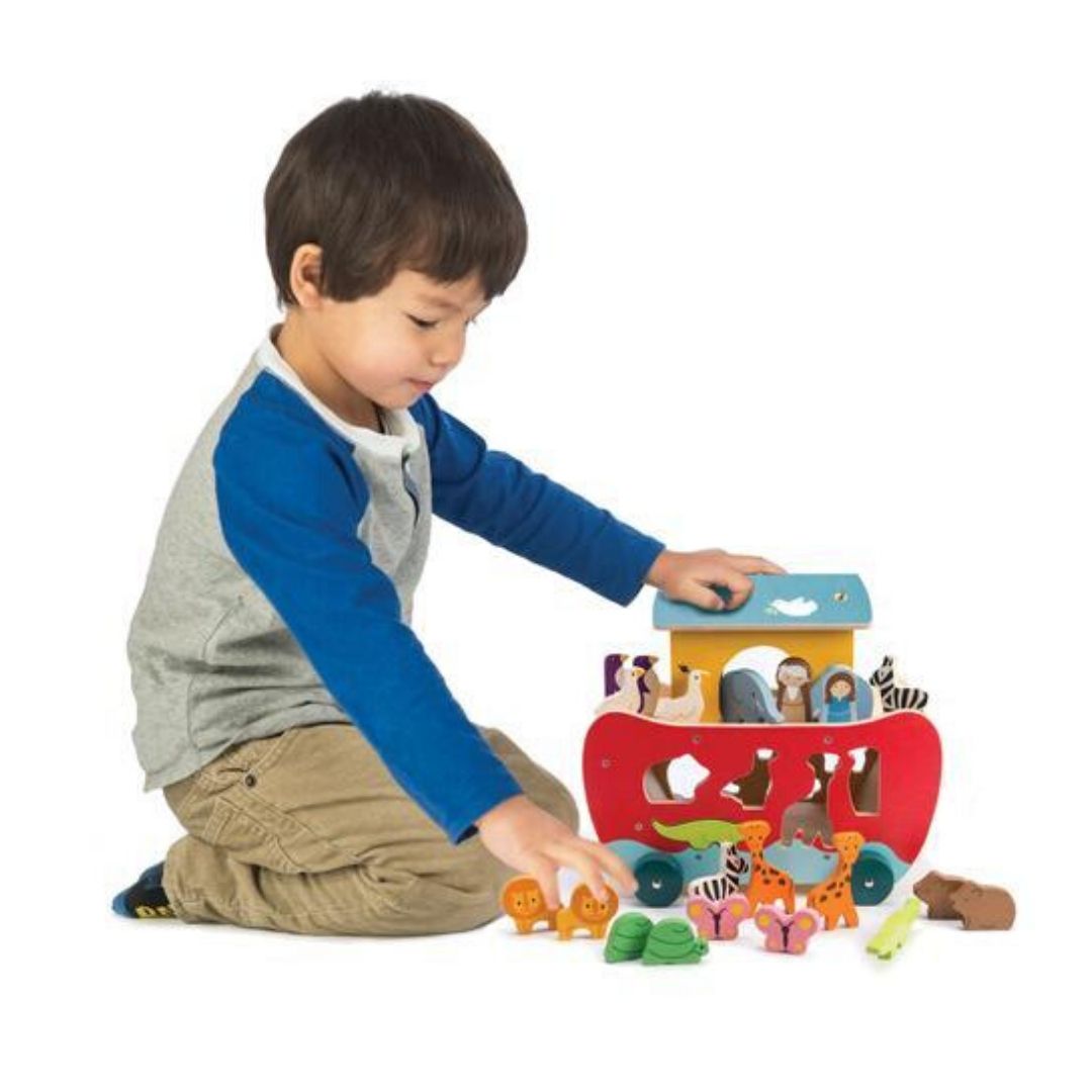 Noah's Shape Sorter Ark
