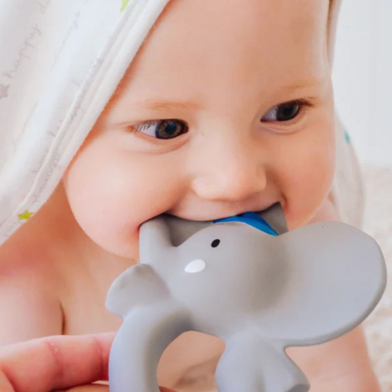 Alvin the Elephant Hooded Towel Gift Set with Rubber Teether