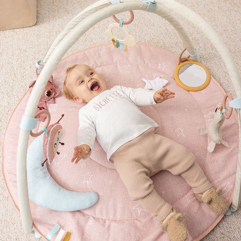 Unicorn Wonderlands Developmental Gymini