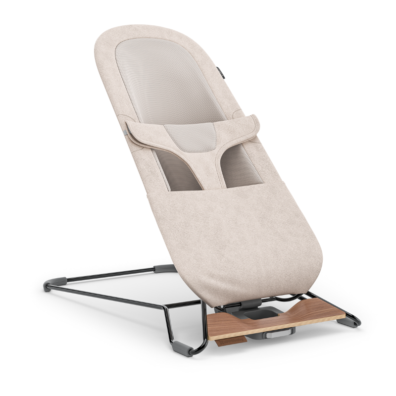 Mira 2-in-1 Bouncer and Seat
