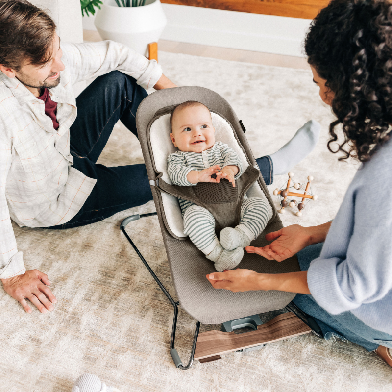 Mira 2-in-1 Bouncer and Seat