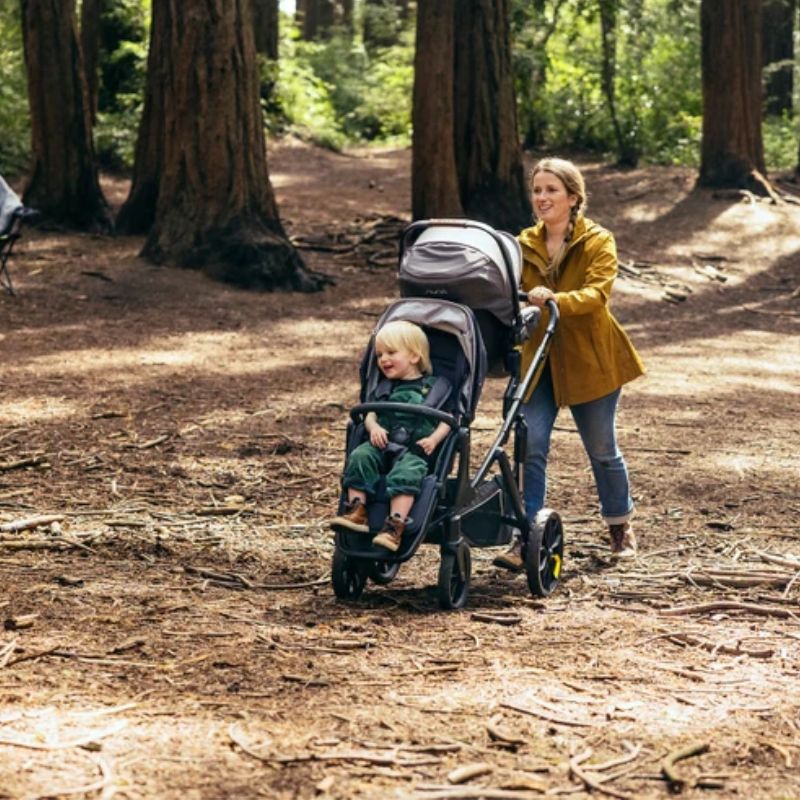 Switchback &Roll Stroller Frame