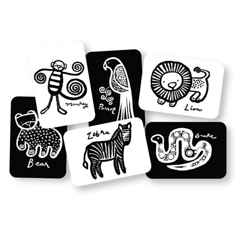 Art Cards Jungle