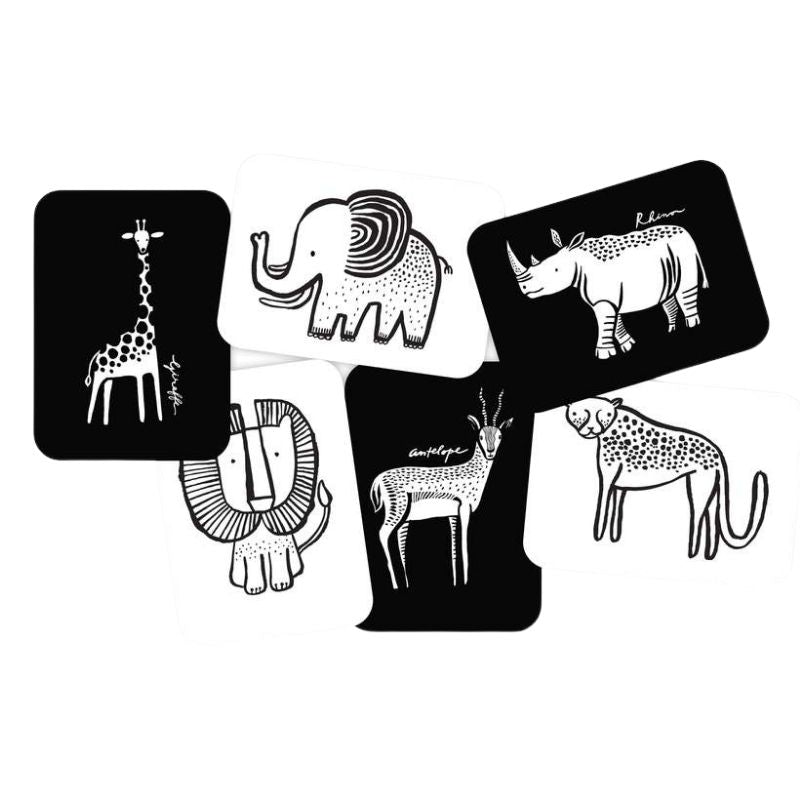 Art Cards Safari