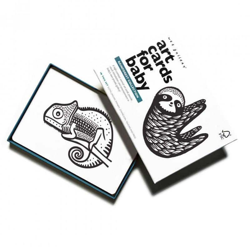 Art Cards Rainforest