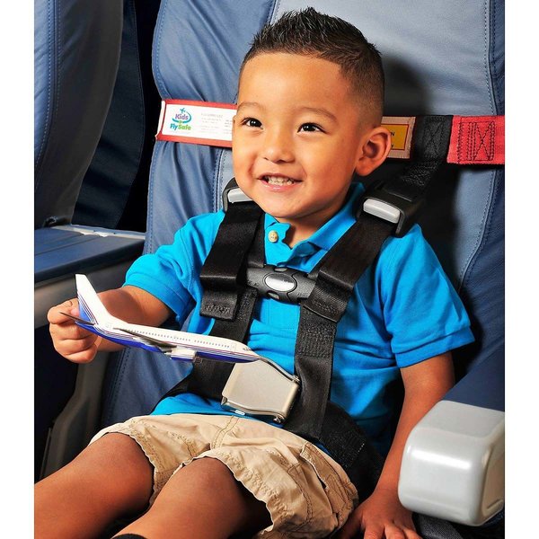 Airplane Safety Harness