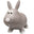 Lapin