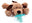 Brown Puppy